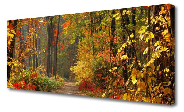 Obraz canvas Złota Jesień w Lesie
