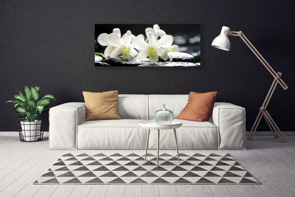 Obraz canvas Orchidea na Rzecznych Kamieniach