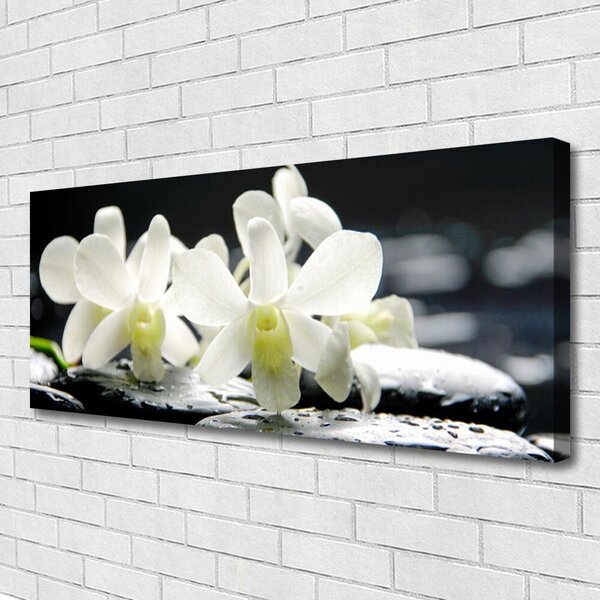 Obraz canvas Orchidea na Rzecznych Kamieniach