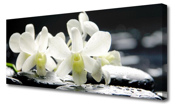 Obraz canvas Orchidea na Rzecznych Kamieniach
