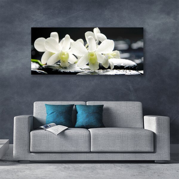 Obraz canvas Orchidea na Rzecznych Kamieniach