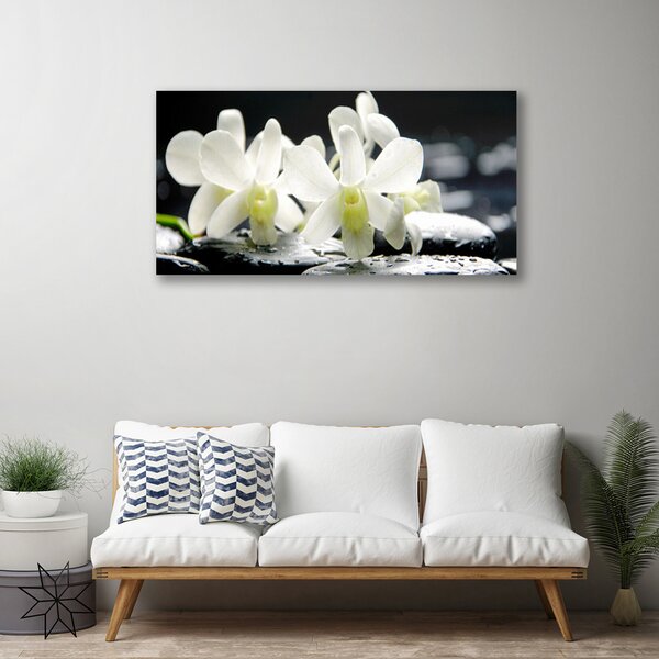 Obraz canvas Orchidea na Rzecznych Kamieniach