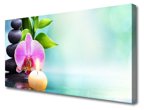 Obraz Canvas Orchidea Woda Natura
