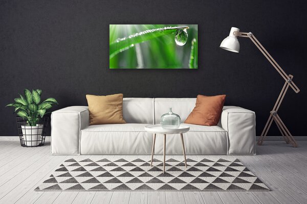 Obraz canvas Perlista Rosa na Źdźble Trawy