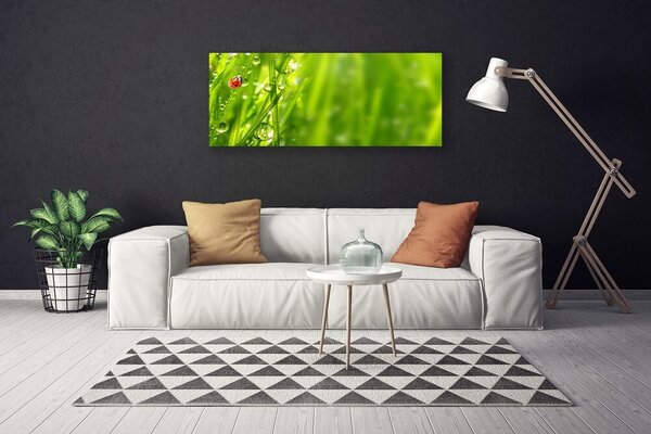 Obraz canvas Biedronka na Zielonym Źdźble