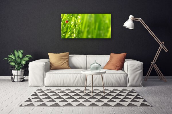 Obraz canvas Biedronka na Zielonym Źdźble