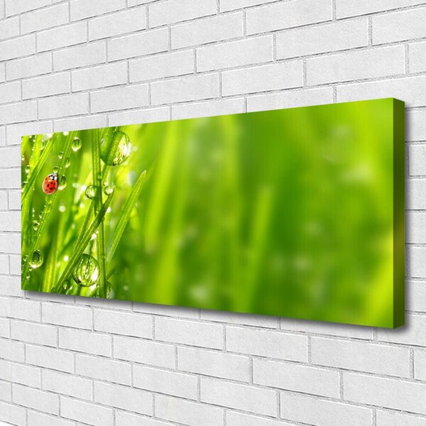 Obraz canvas Biedronka na Zielonym Źdźble