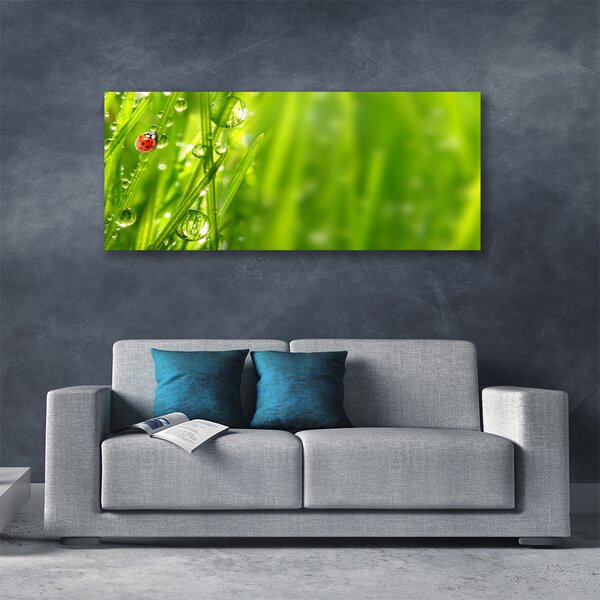 Obraz canvas Biedronka na Zielonym Źdźble