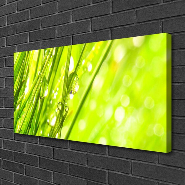 Obraz canvas Świeżość Porannej Rosy