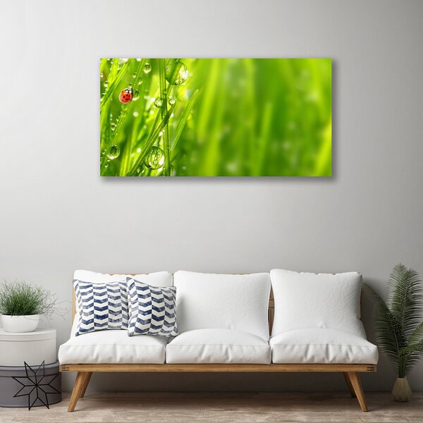 Obraz canvas Biedronka na Zielonym Źdźble