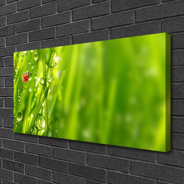Obraz canvas Biedronka na Zielonym Źdźble