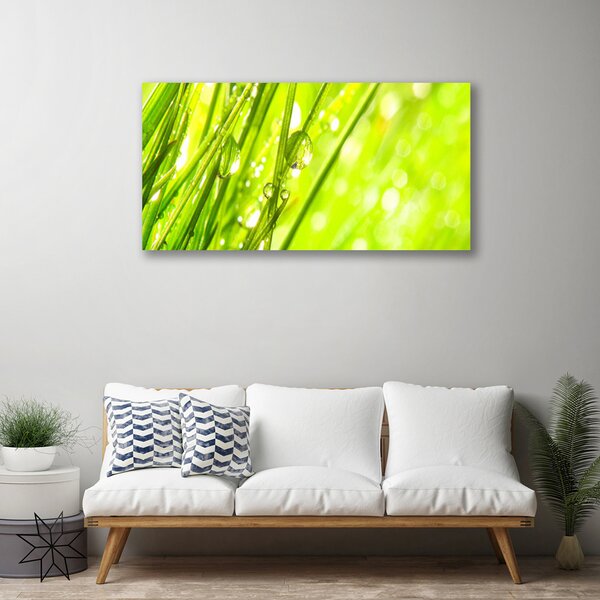 Obraz canvas Świeżość Porannej Rosy