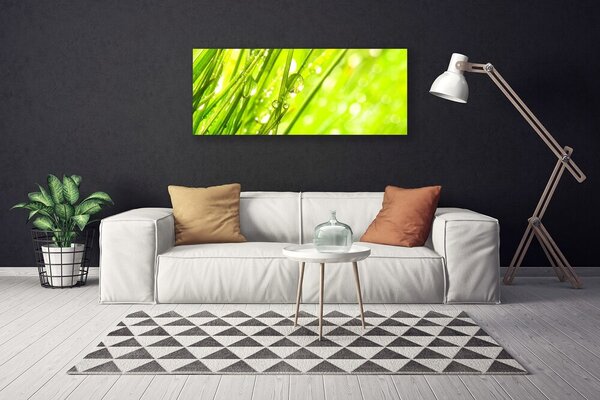 Obraz canvas Świeżość Porannej Rosy
