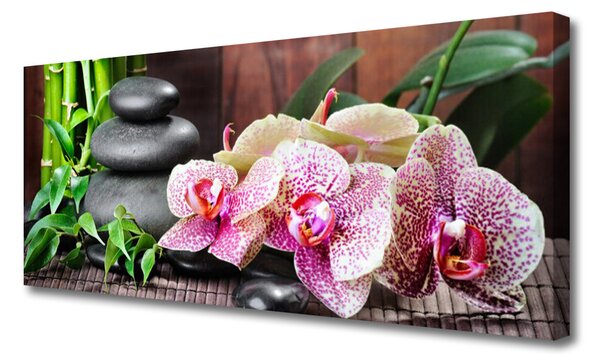 Obraz canvas Orchidea w Klimacie Zen