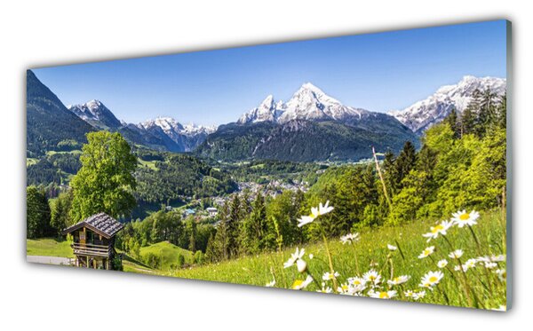 Obraz na Szkle Góra Pola Natura