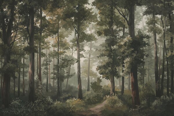 Fototapety Ilustracja lasu z mgłą, wysokimi drzewami i ścieżką, Fototapety Natura, w05089 : Uwalls.pl