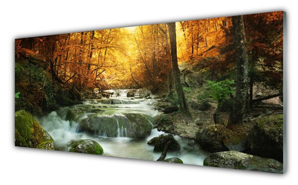 Obraz Szklany Wodospad Natura Las Jesień