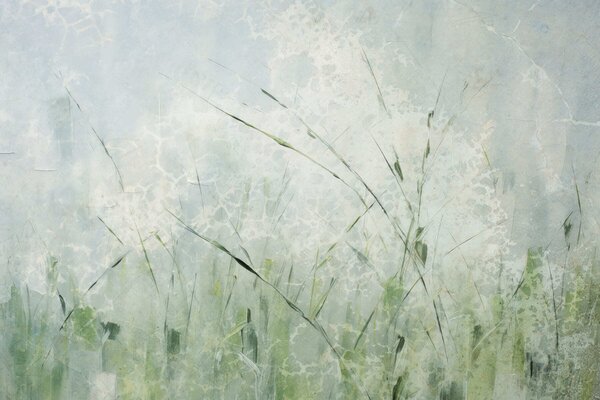 Fototapety Lekkość trawy, Fototapety Natura, w05176 : Uwalls.pl
