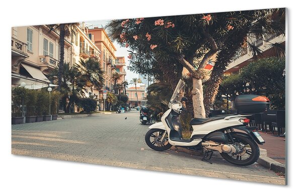 Obraz na szkle Motocykle palmy miasto lato