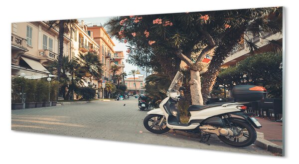 Obraz na szkle Motocykle palmy miasto lato