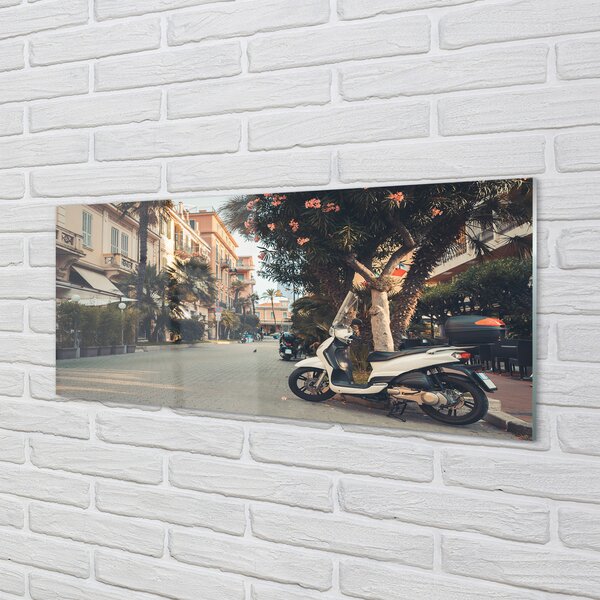 Obraz na szkle Motocykle palmy miasto lato