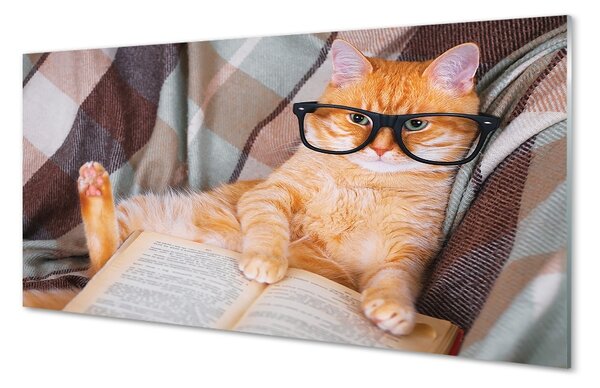 Obraz na szkle Czytający kot