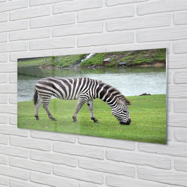 Obraz na szkle Zebra