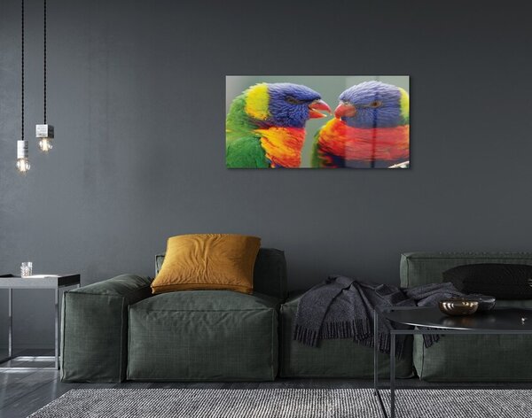 Obraz na szkle Kolorowe papugi