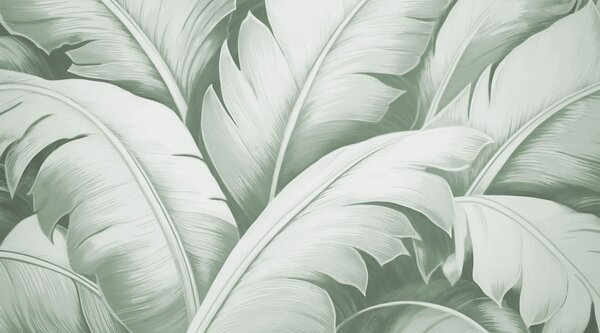 Fototapety Duże liście bananowca, Fototapety Natura, Fototapety Palmy, w04991v3 : Uwalls.pl