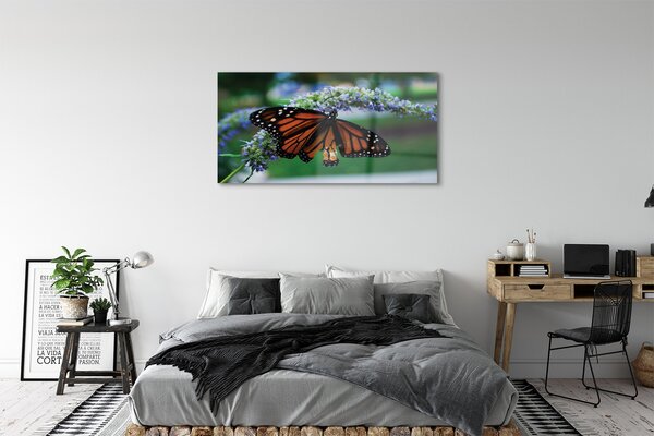 Obraz na szkle Motyl na kwiatku