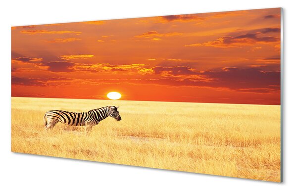 Obraz na szkle Zebra pole zachód słońca
