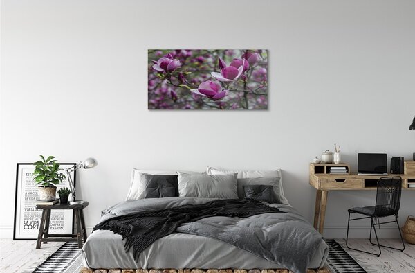Obraz na szkle Fioletowa magnolia