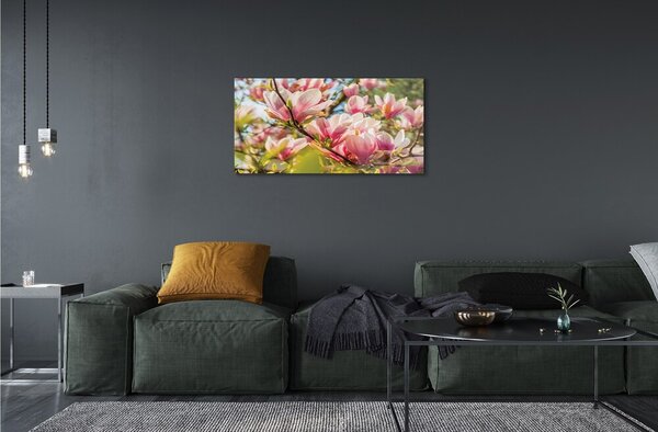 Obraz na szkle Różowa magnolia