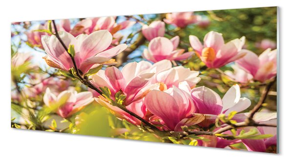 Obraz na szkle Różowa magnolia