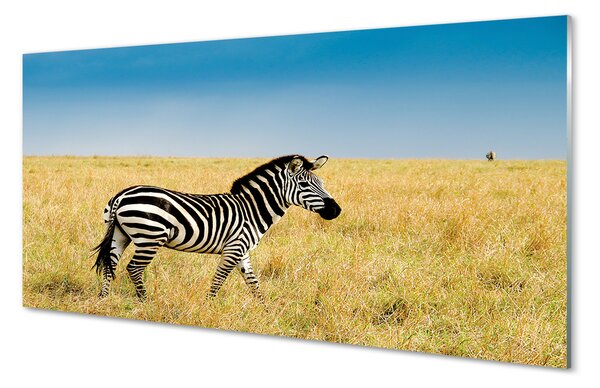 Obraz na szkle Zebra pole
