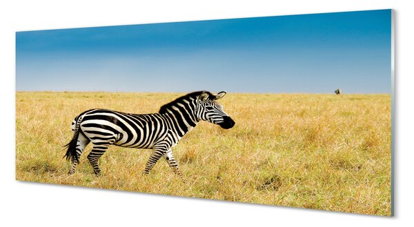 Obraz na szkle Zebra pole