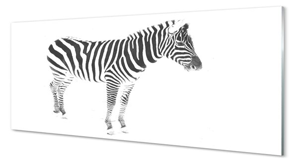 Obraz na szkle Malowana zebra