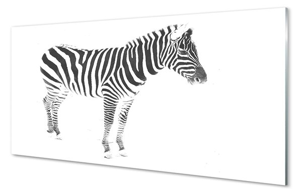 Obraz na szkle Malowana zebra