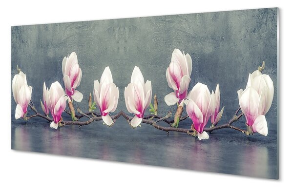 Obraz na szkle Gałąź magnolii