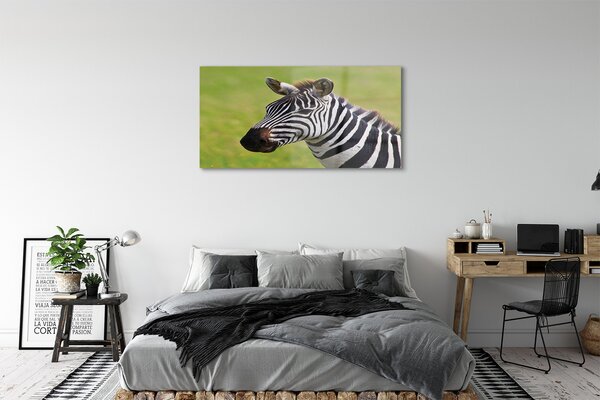 Obraz na szkle Zebra