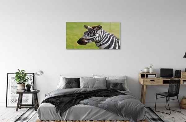 Obraz na szkle Zebra