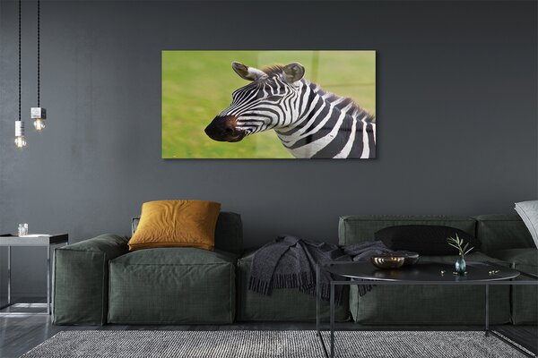 Obraz na szkle Zebra