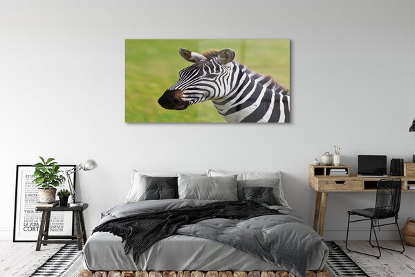 Obraz na szkle Zebra