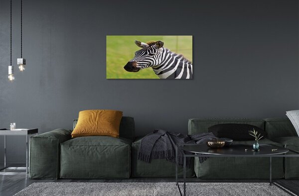 Obraz na szkle Zebra
