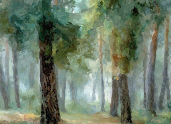 Fototapety Las liściasty, Fototapety Natura, w05508 : Uwalls.pl