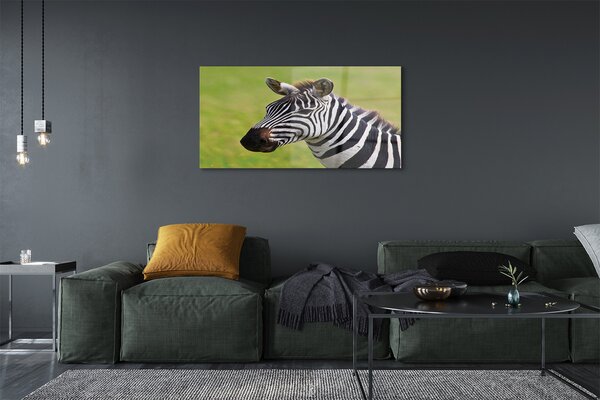 Obraz na szkle Zebra