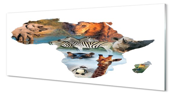 Obraz na szkle Zebra żyrafa tygrys