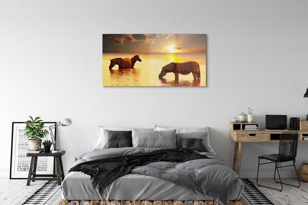 Obraz na szkle Zebry woda zachód słońca