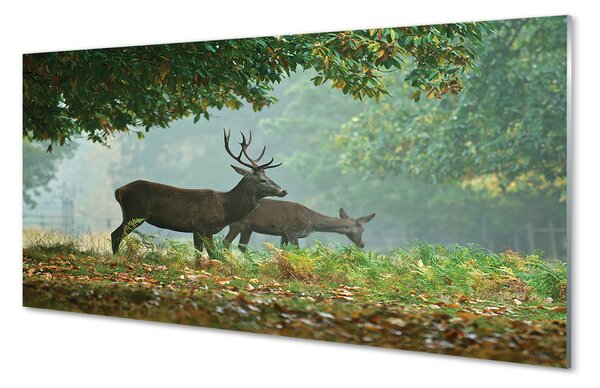 Obraz na szkle Jeleń las jesień