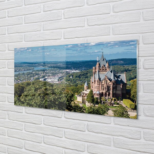 Obraz na szkle Niemcy Panorama miasto zamek